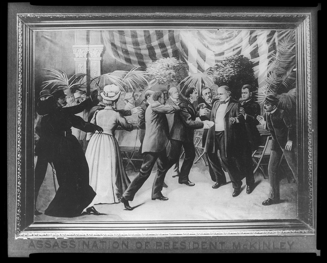 The assassination of William McKinley